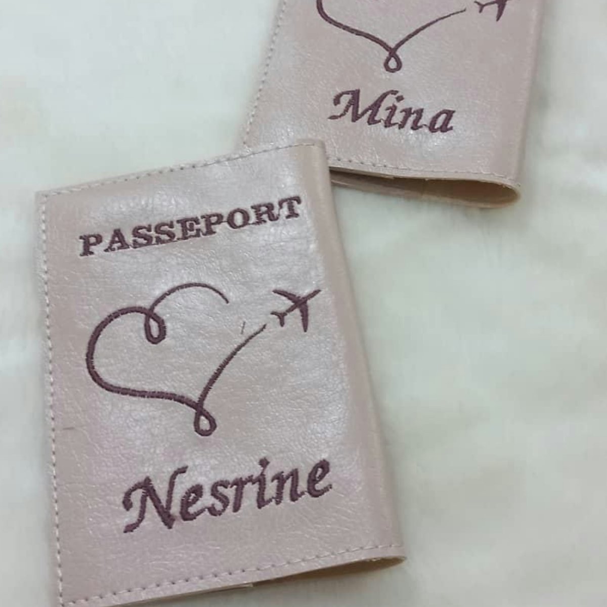 Protège Passeport P0